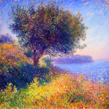 The tuin - Monet